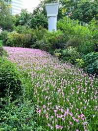A Serene Escape: Flowers in Hong Kong Park