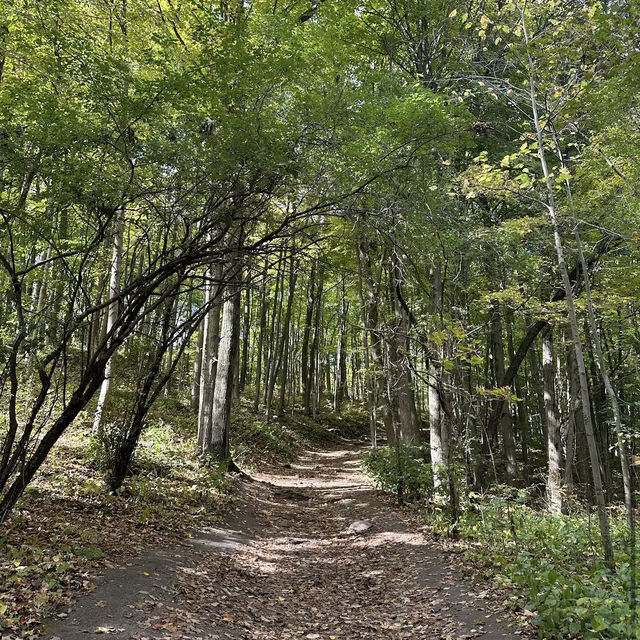 Rouge Urban National Park 🏙️🌲