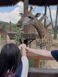 🦒【清遠長隆森林王國】兩日一夜親子快閃遊｜長頸鹿城堡酒店｜動物大遷徙＋溫泉樂園♨️