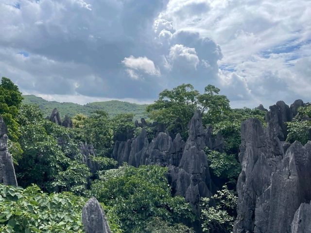 「地表最狂石林」富川•神劍石林景區「橫看成嶺側成峰」 「地表最狂石林」富川•神劍石林景區「橫看成嶺側成峰」