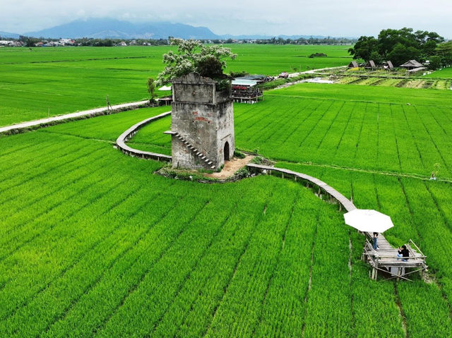 🇻🇳🌾🌾 4 ร้านกาแฟวิวทุ่งนาเขียวจีในฮอยอัน 🌾🌾🇻🇳