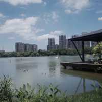 臨海靈湖公園~打卡超靚天氣🌞