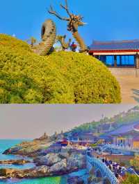 해동 용궁사 여행 가이드 🌊🏯