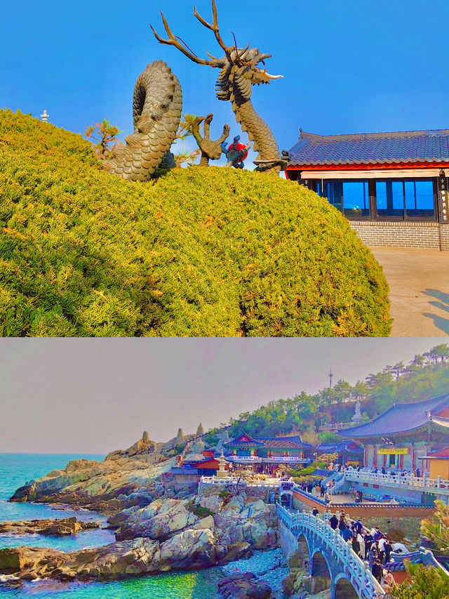 해동 용궁사 여행 가이드 🌊🏯 해동 용궁사 여행 가이드 🌊🏯