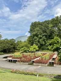 鳥取花迴廊🌸 大山腳下的夢幻花園