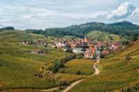 Alsace Wine Route