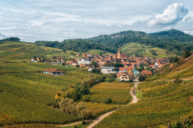 Alsace Wine Route