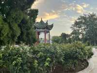 🕰🌳 Zhengzhou People’s Park — The City’s Living Square