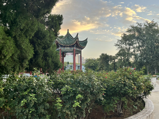 🕰🌳 Zhengzhou People’s Park — The City’s Living Square