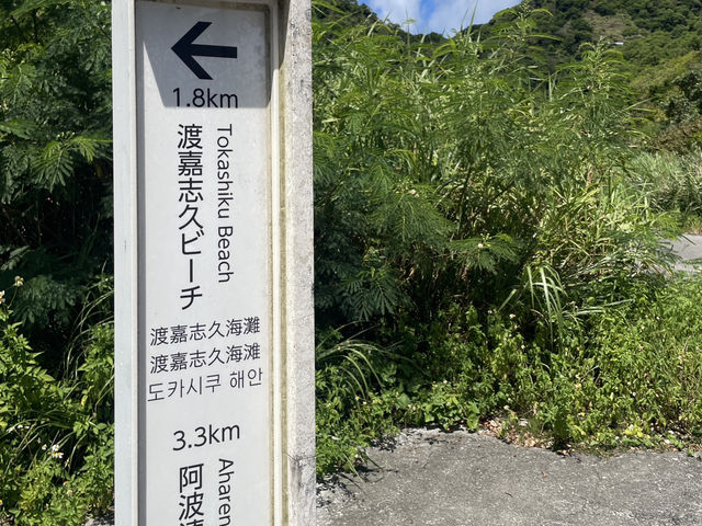 🌊渡嘉敷島徒步：在沖繩離島遇見藍與綠的交響