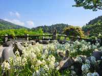 名陽匍休閒農莊：陽明山花季中的秘境天地