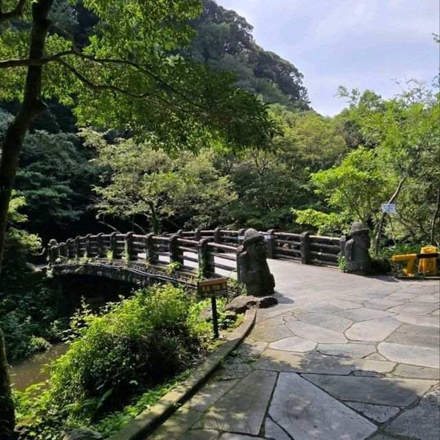 천지연폭포, 서귀포가 품은 장엄한 폭포의 아름다움 🌿