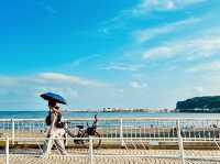 ⛩️「電車駛過的瞬間,就是青春的定格。」