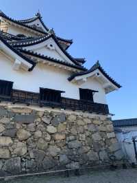 琵琶湖と城下町を一望できる、国宝・彦根城