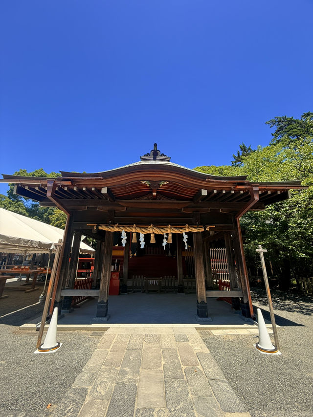鐮倉｜不只櫻花季絕美 在荷花最美季節造訪鶴岡八幡宮