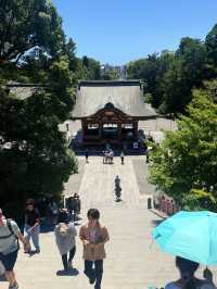 鐮倉｜不只櫻花季絕美 在荷花最美季節造訪鶴岡八幡宮