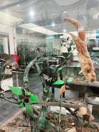 Natural History Museum: Must-Visit Treasure in Borneo