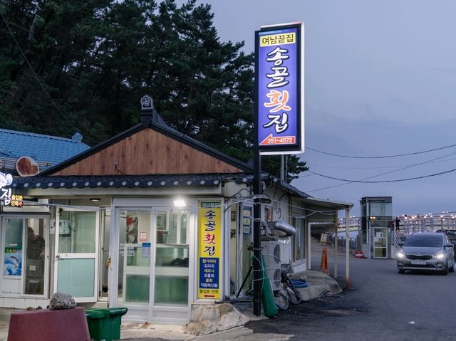🇰🇷 포항 스카이워크 & 영일대 해수욕장 🌊🌅 🇰🇷 포항 스카이워크 & 영일대 해수욕장 🌊🌅
