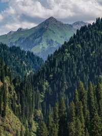 Discover the Magic of Nalati together