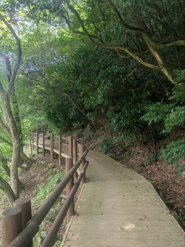 雲仙の地獄巡りで感じる大地の息吹✨⛰️