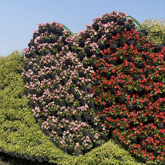 꽃의 향기로 물든 대만 오후 — Zhongshe Flower Market 여행기