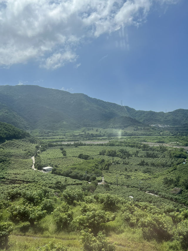 屏東枋山鄉｜海與芒果交會的山腰小鎮：沿著海台一線看藍、在果園裡聞到夏天 🍋🌊