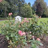 Dunedin Botanic Garden