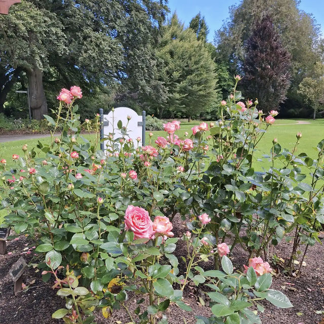 Dunedin Botanic Garden