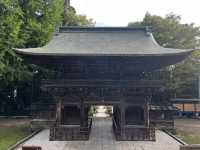 仙台東照宮｜徳川家康を祀る、歴史と桜と絶景の社
