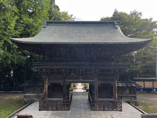 仙台東照宮｜徳川家康を祀る、歴史と桜と絶景の社