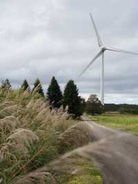 33基の風力発電が並ぶ風と絶景の公園