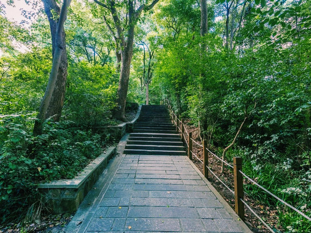 上海🇨🇳余山國家旅遊度假區