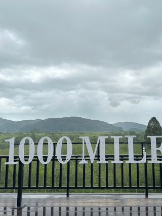 📍1000 Mile Tea Plantation, Phatthalung!!!!