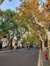 Shanghai Autumn Walk🍂