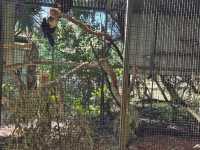 Must-visit places in Caversham Wildlife Park