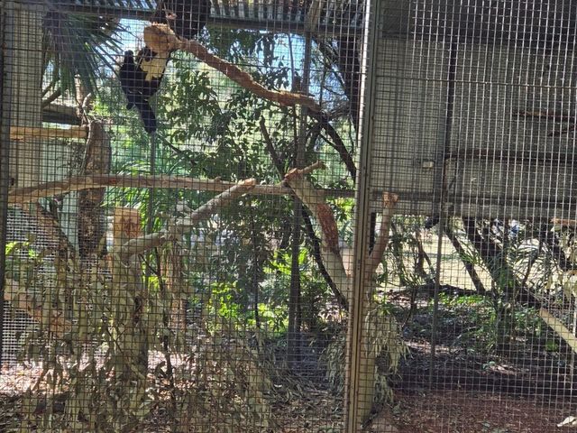Must-visit places in Caversham Wildlife Park