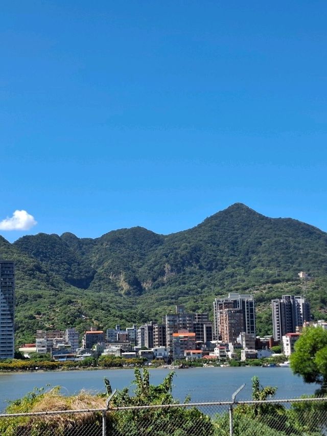 【關渡自行車道|迎風而行的河岸旅程】 【關渡自行車道|迎風而行的河岸旅程】