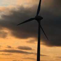The Albany Wind Farm