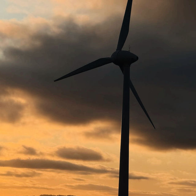The Albany Wind Farm