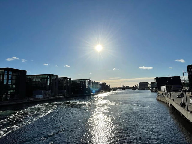 Where Everyday Moments Feel Effortlessly Beautiful in Copenhagen