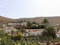 Golden Sands and Endless Freedom on Fuerteventura