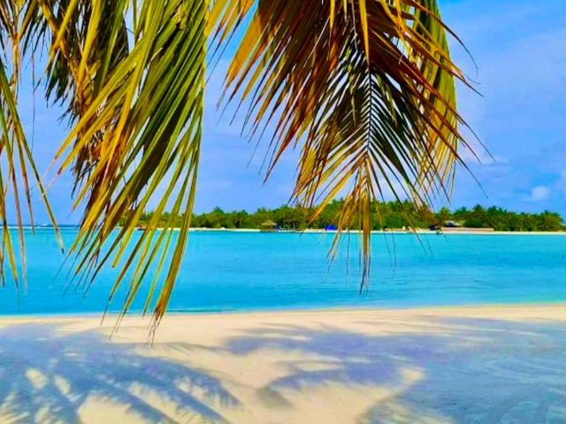 Anantara Dhigu Maldives Resort — The Perfect Family Escape