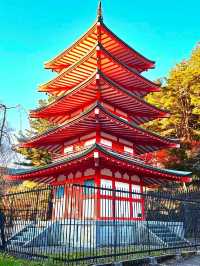 Autumn Spectacle at Arakurayama Sengen Temple, Japan