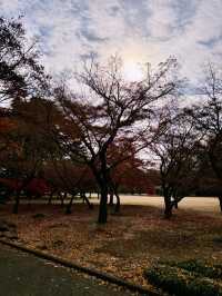 Strolling in Shinjuku Gyoen National Garden 🌿