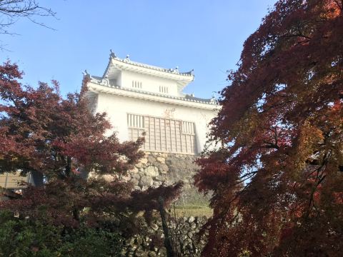 [Fukui, Echizen Ono Castle🏯] See the "Castle in the Sky" floating in the sea of ​​clouds