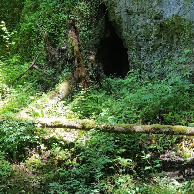 Chaltbrunnental – A Hidden Gorge of History and Nature
