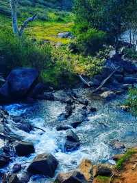 🌿 Gooseberry Hill National Park – Perth’s Hidden Gem on a Hill