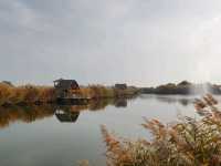A Hidden Waterside Haven Amid Golden Reeds