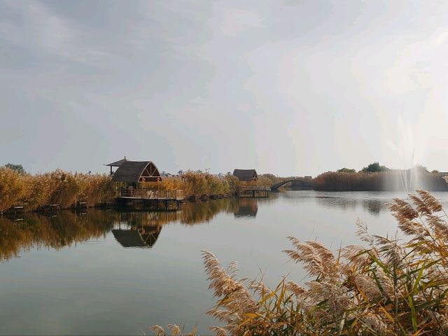 A Hidden Waterside Haven Amid Golden Reeds A Hidden Waterside Haven Amid Golden Reeds