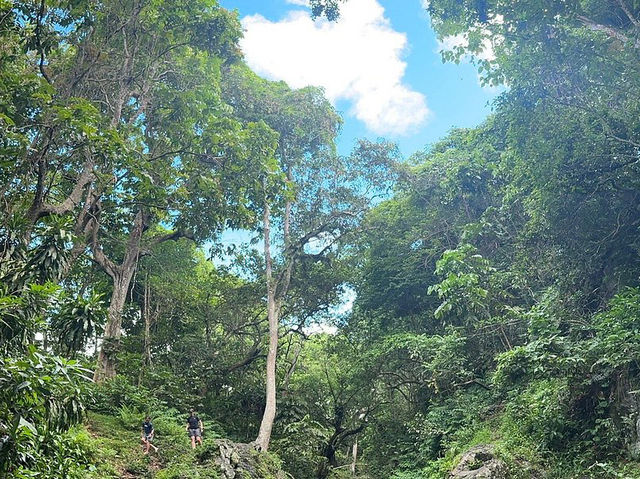 Waitavala Natural Rock Waterslide